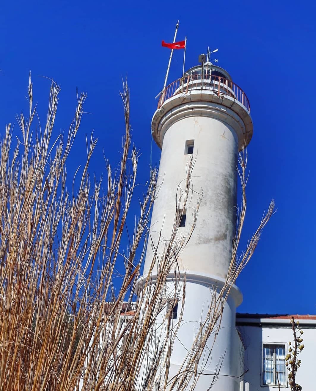 Gelidonya Feneri